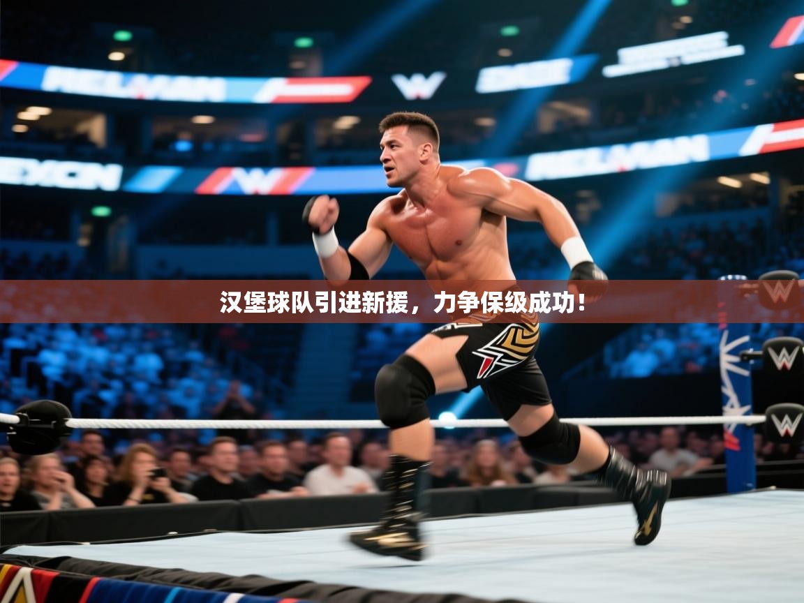 汉堡球队引进新援，力争保级成功！  第2张